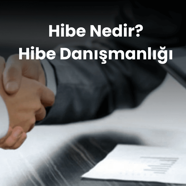 Hibe Nedir? Hibe Danışmanlığı ve Kalkınma Ajansları